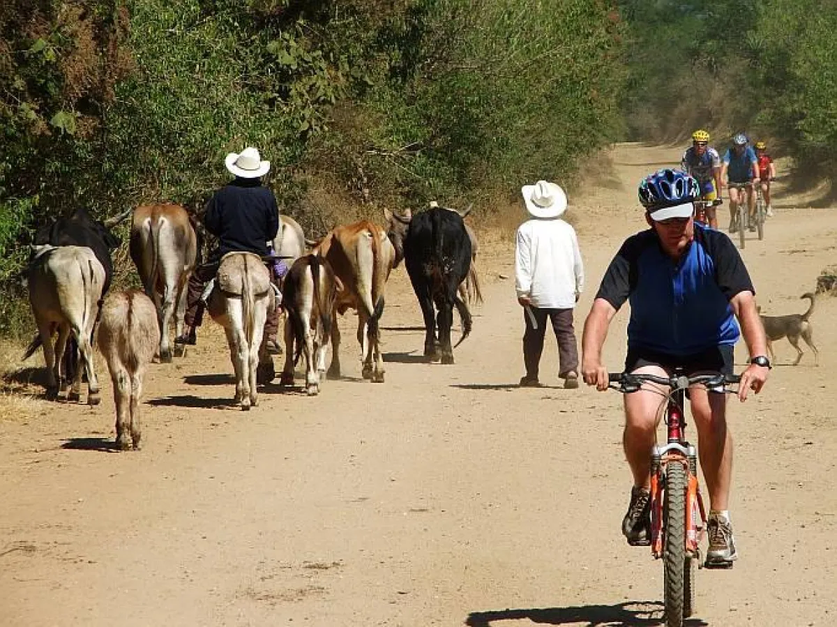 Mexiko aktiv erleben