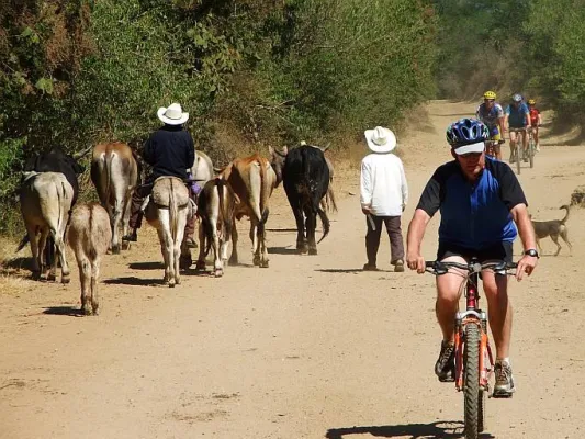 Zwei neue Mexiko-Reisen von avenTOURa Bild: Zwei neue Mexiko-Reisen von avenTOURa