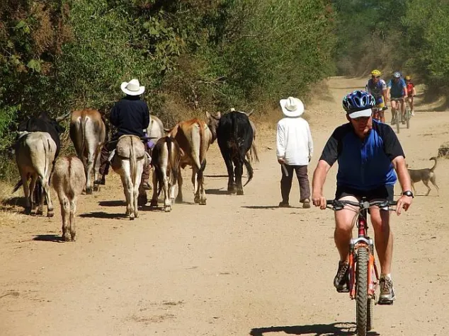 Bild: Zwei neue Mexiko-Reisen von avenTOURa