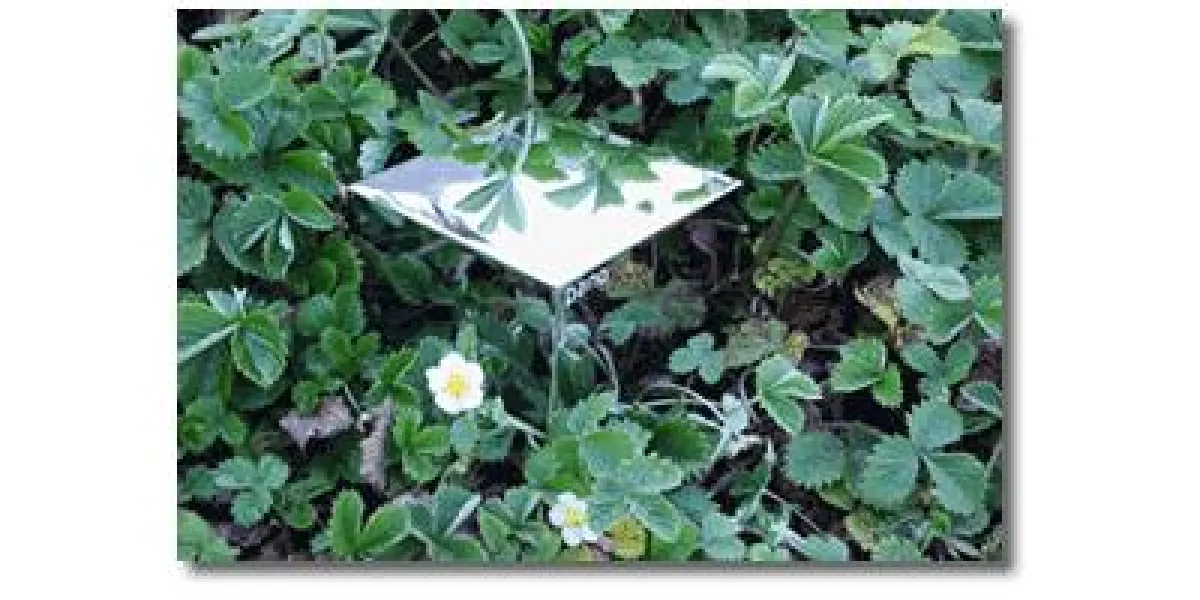 Pano Logic Zero Client mit VMWare ESXi