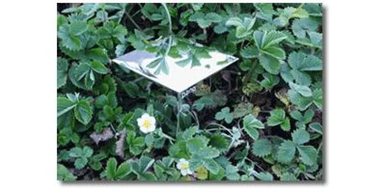 Bild: Pano Logic Zero Clients jetzt mit VMWare ESXi