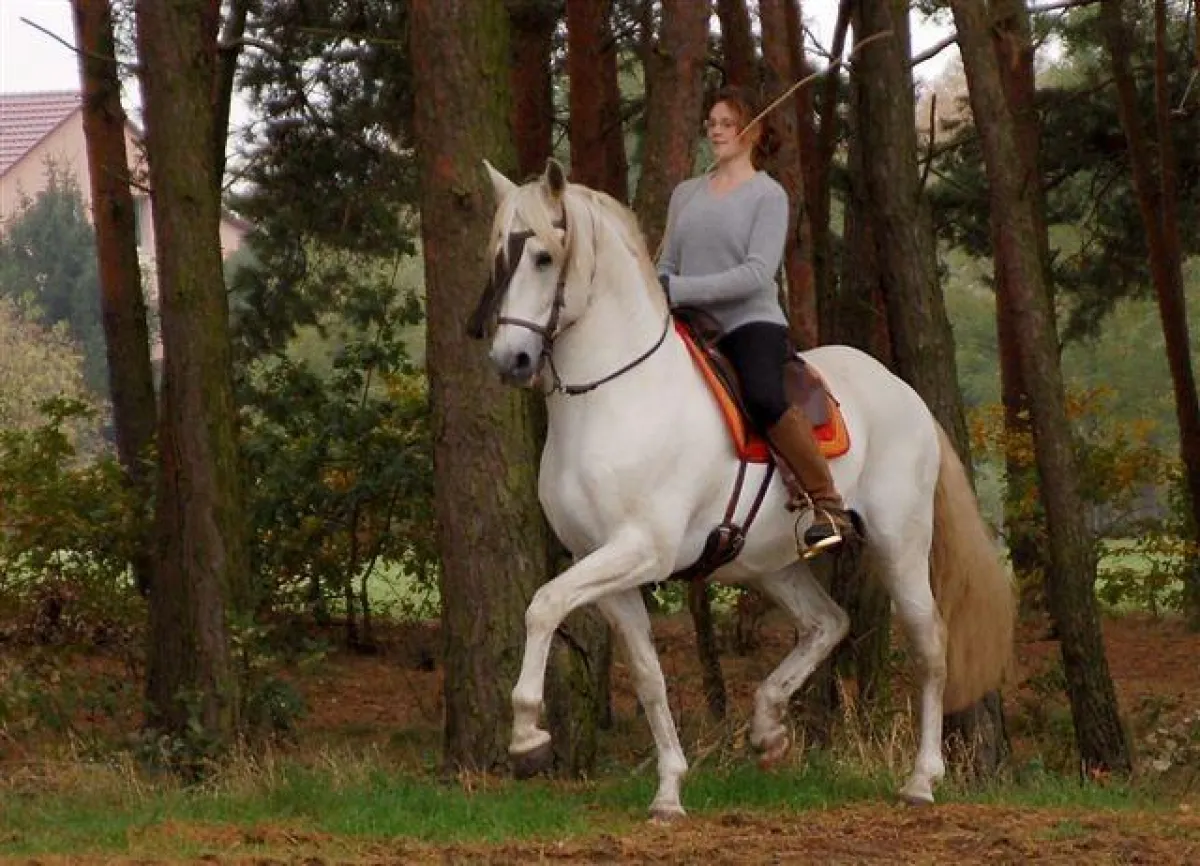 biomechnik in Balance