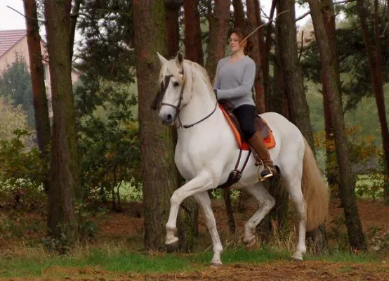 Bild: Vortragsreihe „Biomechanik in Balance“