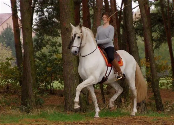 Bild: Vortragsreihe „Biomechanik in Balance“