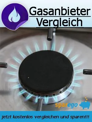 Bild: Wintereinbruch in Deutschland - zu Beginn der Heizperiode prüfen ob ein Gasanbieterwechsel möglich ist