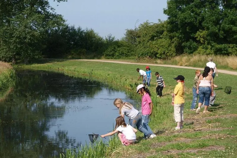 Bild: Countdown zum Langen Tag der StadtNatur Hamburg: Kinder gesucht