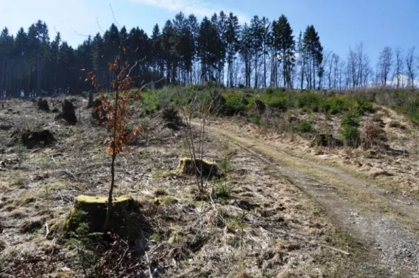 Der Klassiker unter den Wanderwegen im Sauerland Bild: Der Klassiker unter den Wanderwegen im Sauerland