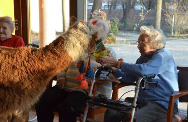 Tierischer Besuch im Altenpflegeheim Bethanien Bild: Tierischer Besuch im Altenpflegeheim Bethanien