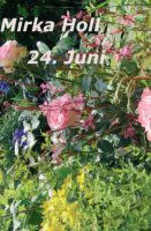 Bild: 24. Juni - Faszinierender Roman über den Praxisalltag einer Hebamme