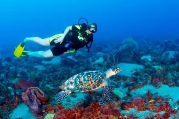 Bild: Unterwasserabenteuer schnuppern auf Saint Lucia- Deutschsprachiger Tauchkurs für Anfänger in der Karibik