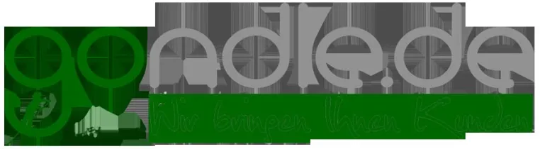 Google-AdWords-Werbung: kostenloses Schnupperangebot der gondle.de Marketing GmbH Bild: Google-AdWords-Werbung: kostenloses Schnupperangebot der gondle.de Marketing GmbH