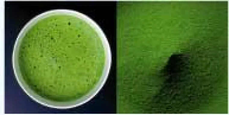 Matcha - Das grüne Wunder Bild: Matcha - Das grüne Wunder