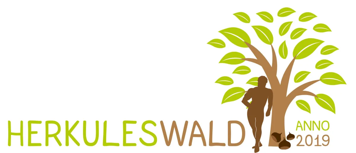HerkulesWald - Anno 2019