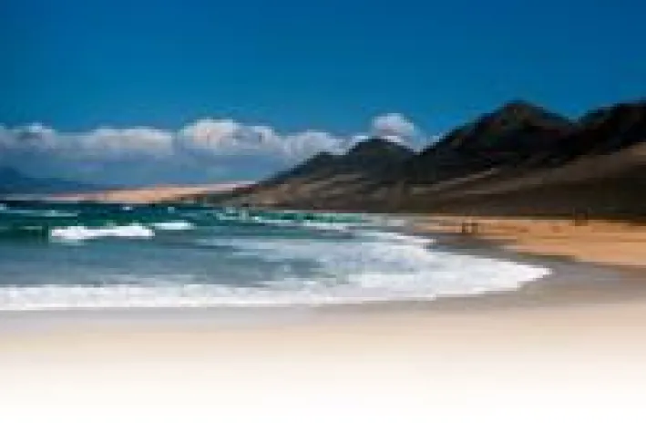 Bild: Bizarre Schönheit - Fuerteventura