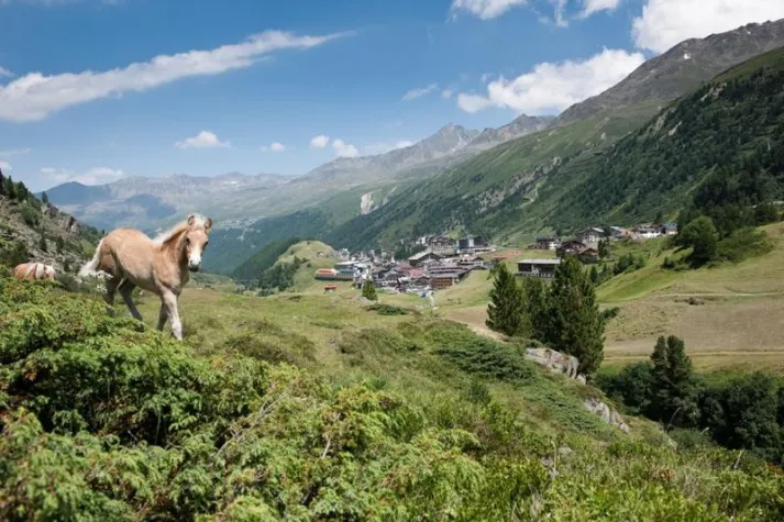 Bild: Kühler Kopf in luftigen Höhen