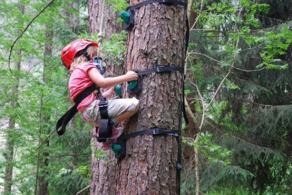 Baumklettern gibt Kindern Körpergefühl und Selbstvertrauen Bild: Baumklettern gibt Kindern Körpergefühl und Selbstvertrauen