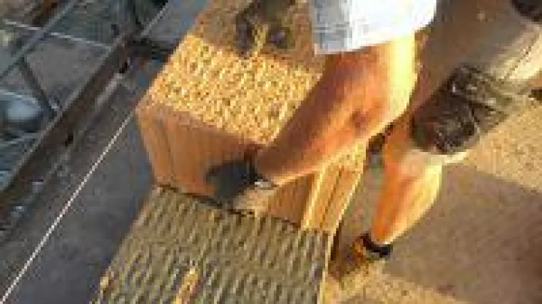 Bild: Grüne Baustelle