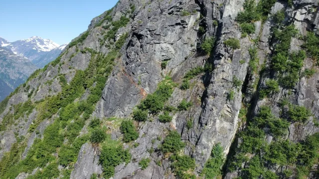 Bild: Goliath Resources findet 12 Stellen mit sichtbarem Gold in einem Bohrloch