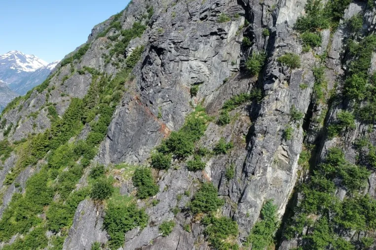 Bild: Goliath Resources findet 12 Stellen mit sichtbarem Gold in einem Bohrloch