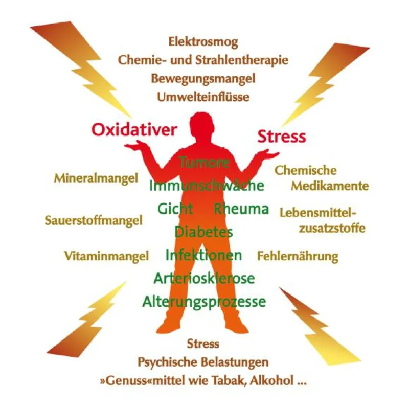 Oxidativer Stress und seine Auswirkungen - basisches Wasser kann helfen, oxidativen Stress zu neutralisieren.