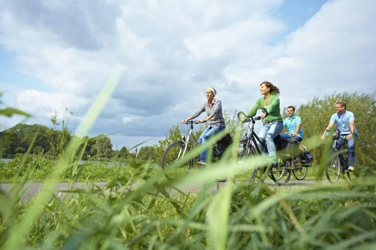 Radeln mit Sternen in der deutsch-niederländischen Grenzregion Bild: Radeln mit Sternen in der deutsch-niederländischen Grenzregion