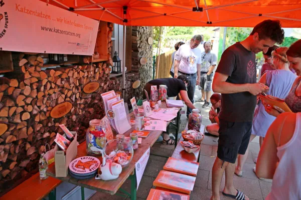 Bild: 2. Katzen-Infotag in Starnberg bietet Einblicke in den Tierheimbetrieb