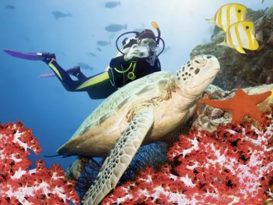 Bild: Deutsche Vermögensberatung (DVAG) empfiehlt Freizeitversicherung für Sport- und Hobbyausrüstungen