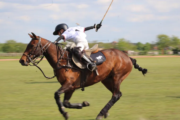 Bild: 7. Internationale Deutsche Arena Polo Meisterschaft in Braunschweig - 24. - 26.05.2024