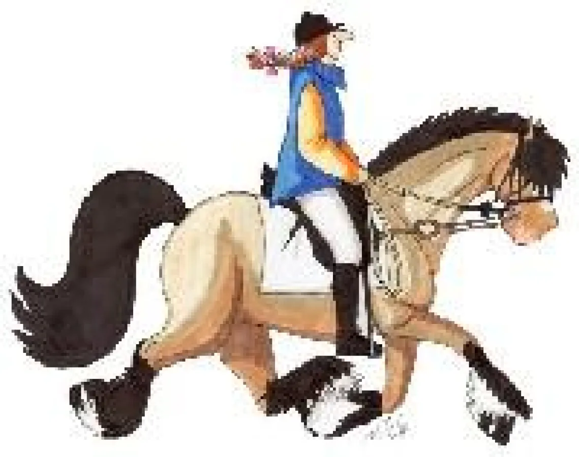 Ausbinder werden während der Reiter-Ausbildung benutzt. Auch die Maskottchen Nele und Felix können sie gut gebrauchen.