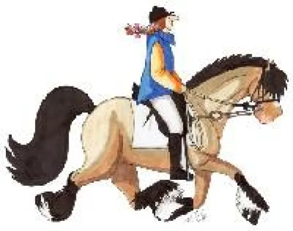 Pferde-Ausrüstung – Hilfszügel unter der Lupe Bild: Pferde-Ausrüstung – Hilfszügel unter der Lupe