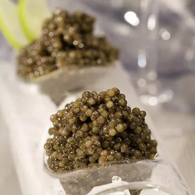 Bild: Kaviar, das Power-Ei, - leckeres zum Osterbrunch