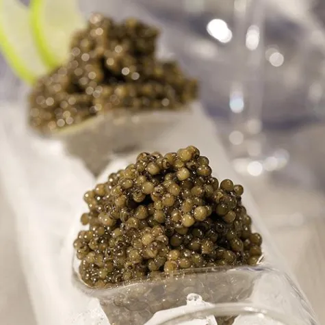 Kaviar, das Power-Ei, - leckeres zum Osterbrunch Bild: Kaviar, das Power-Ei, - leckeres zum Osterbrunch