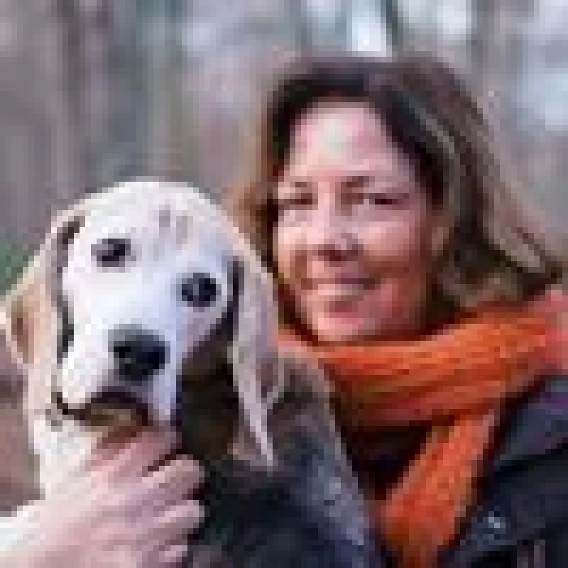 Lindhof mit Ihrem Beagle