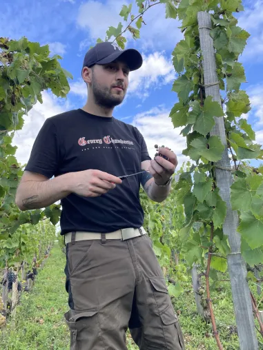 Bild: Kluge Menschen wissen mehr über Wein: Wie sich höhere Intelligenz in vertieftem Fachwissen zeigt