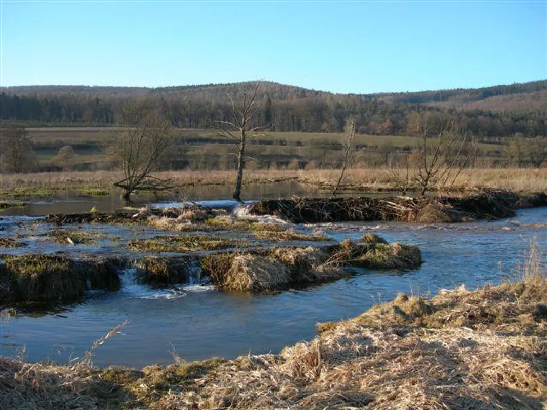 Geschütztes Biberland. Bild: GNA