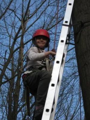 Bild: English adventure week im Freiburger Waldseilgarten
