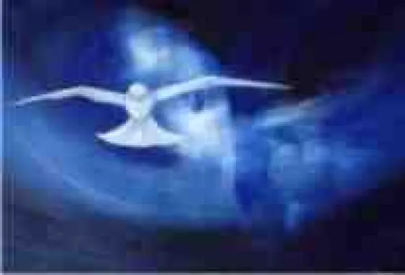 Bild: Eine Waffe, die unblutig Frieden schafft - Erneuerbare Zahlungsmittel