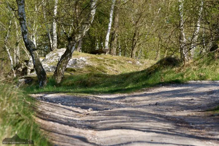 Bild: Gipskarst, Wasserfälle und Naturmythen im Harz