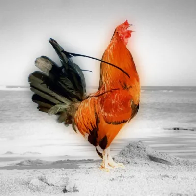 Bild: Reklamation als Chance | Offenes Training in Neumünster | 28.05.2019