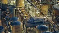 Bild: Was Atomkraft alles kann