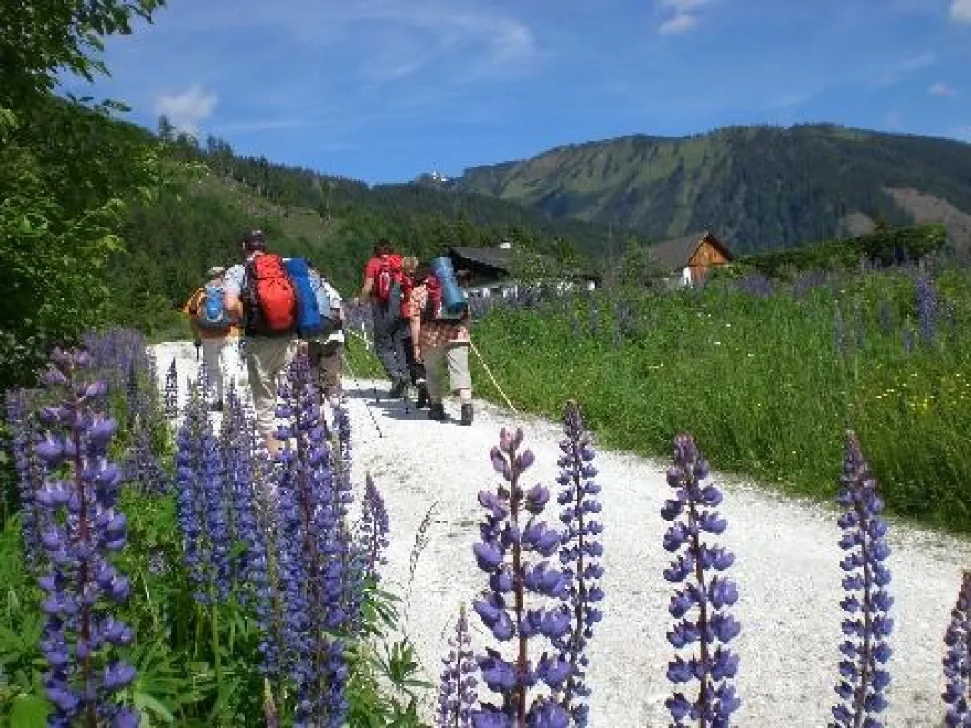 Wandern in der Natur