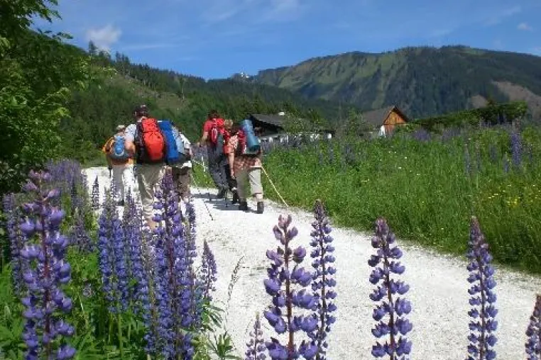 Bild: Pilgern oder Fastenwandern? – Zwei Wege ein Ziel