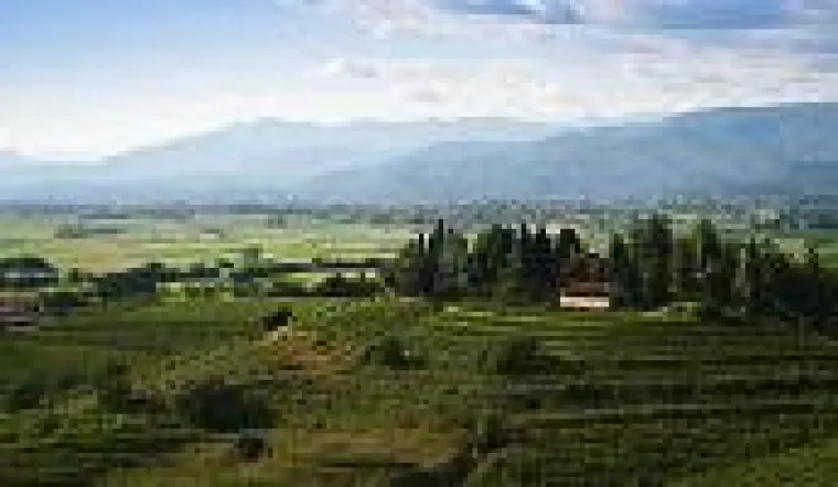 Kulinarische Rundreise durch das Weinland Italien Bild: Kulinarische Rundreise durch das Weinland Italien