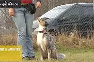 Beziehung - Mensch & Hund Bild: Beziehung - Mensch & Hund