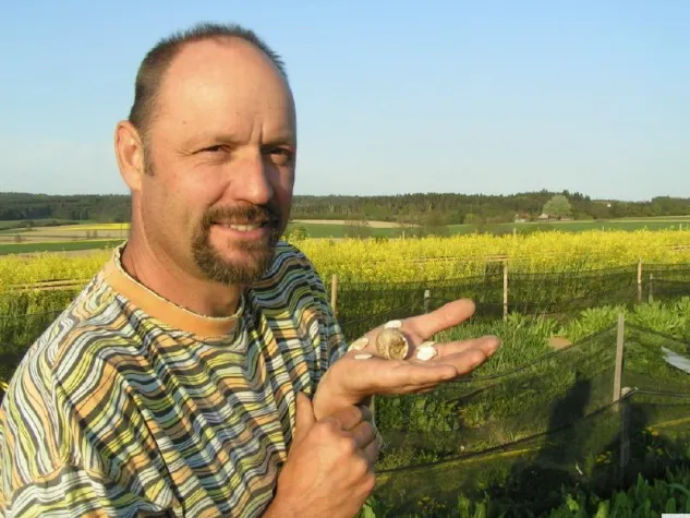 Weinbergschnecken brechen das Fasten nicht Bild: Weinbergschnecken brechen das Fasten nicht