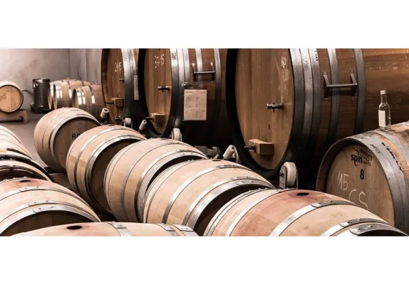 Bild: Warum beim Thema Weinreifung und Weinlagerung so große Verwirrung herrscht