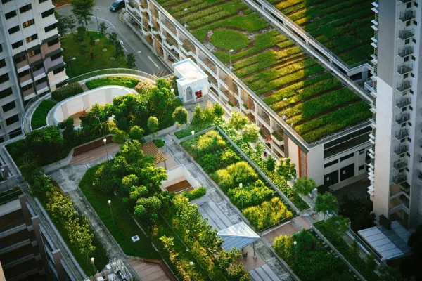 Bild: Urban Greening Camp Startup für Cleantech und Greentech-Innovationen sowie Vertical Farming Technologien