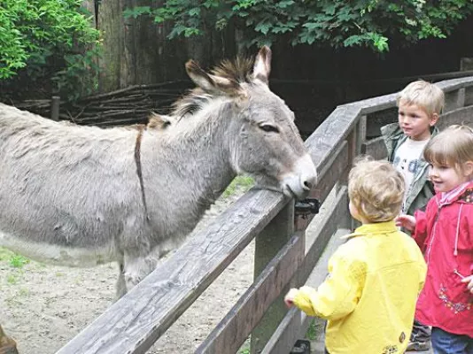 Wohin in den Ferien: Freizeitparks und Zoos Bild: Wohin in den Ferien: Freizeitparks und Zoos