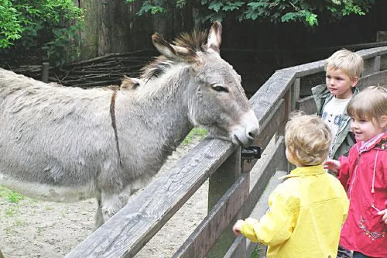 Bild: Wohin in den Ferien: Freizeitparks und Zoos