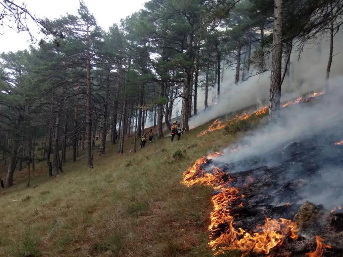 Catalan firemen bring forest fires under control (Bombers de la Generalitat de Catalunya)